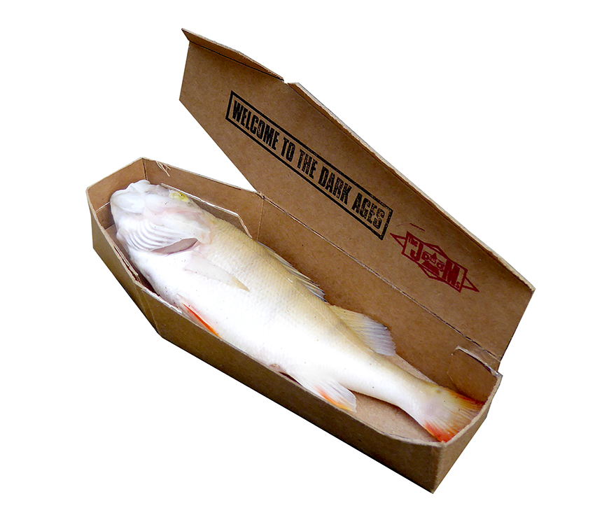 Dead_perch_Koffin_72dpi