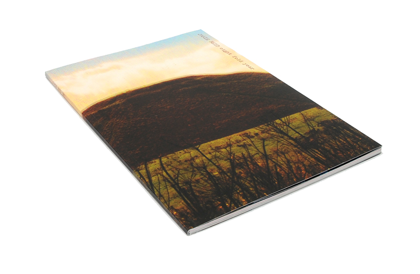 Jamie Reid Eight Fold Year paperback