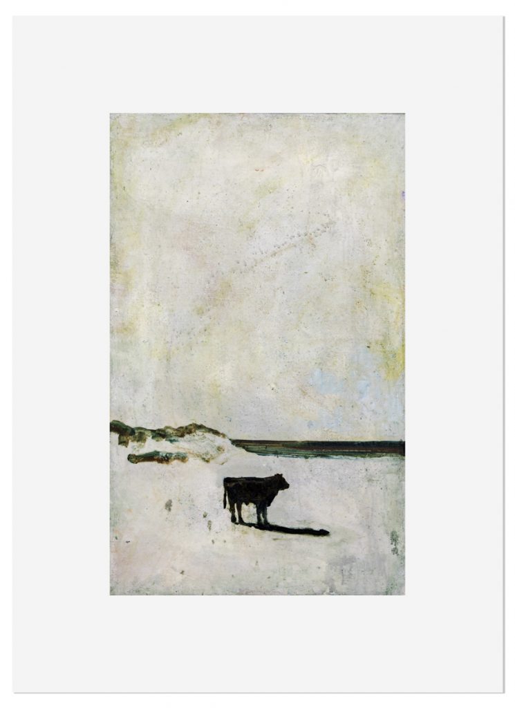 Harry Adams Cow_on_a_Beach-forweb