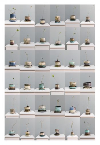 Pots_Composite_72dpi