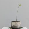 pot01