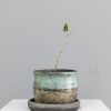 pot14