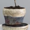 pot17