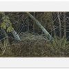 BillyChildish-night forest4shop BillyChildish-night forest4shop