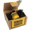 kannister-new-1-forweb kannister-new-1-forweb