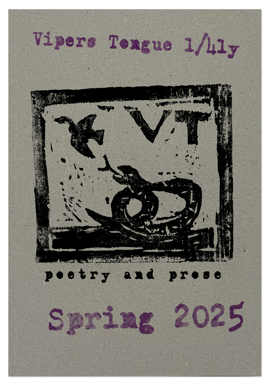 VTQ Spring 2025 mock-up 4 web