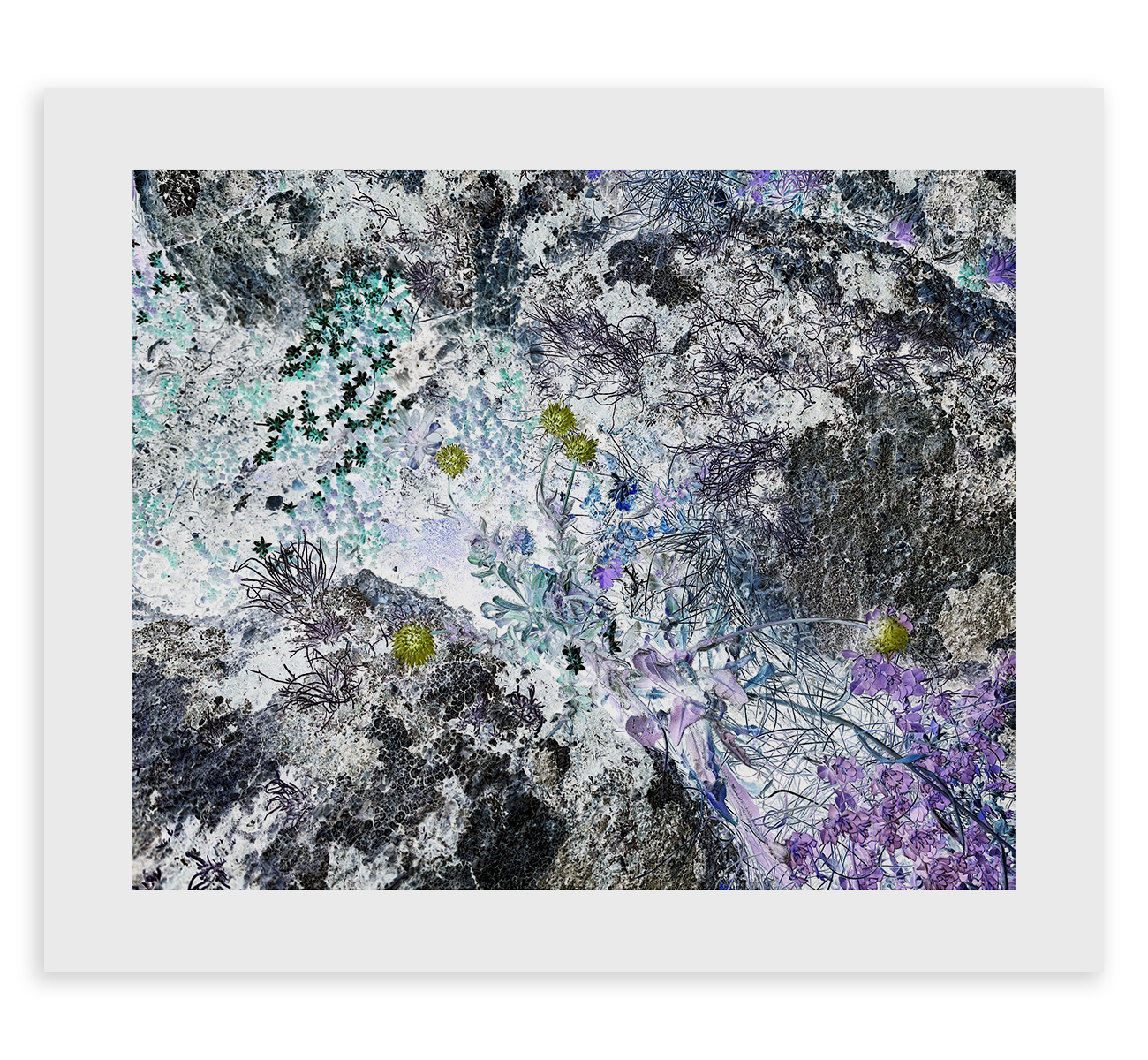 micro-flowers-print-web