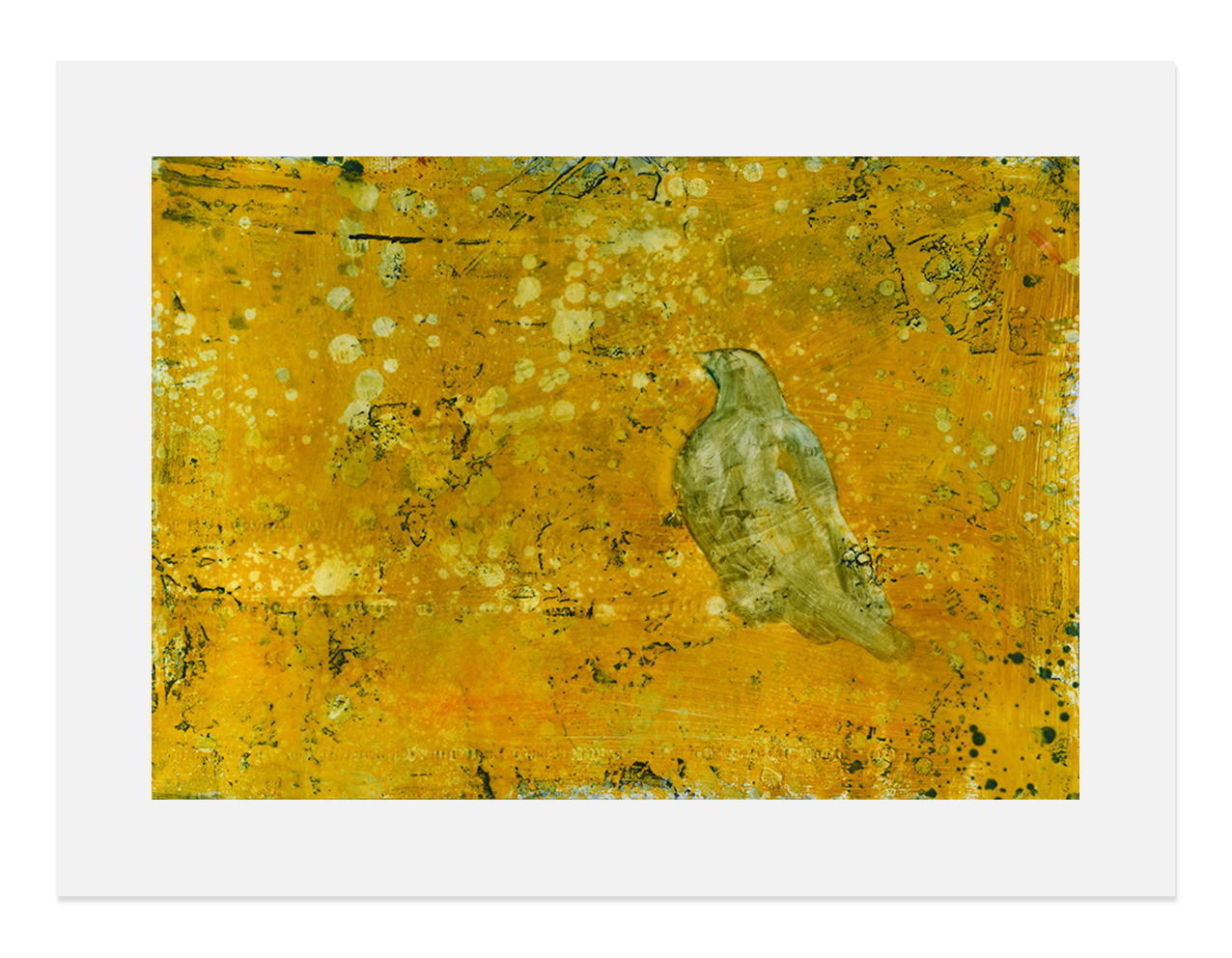 Harry Adams Giotto’s Bird, 2023 – print4web Harry Adams Giotto’s Bird, 2023 – print4web