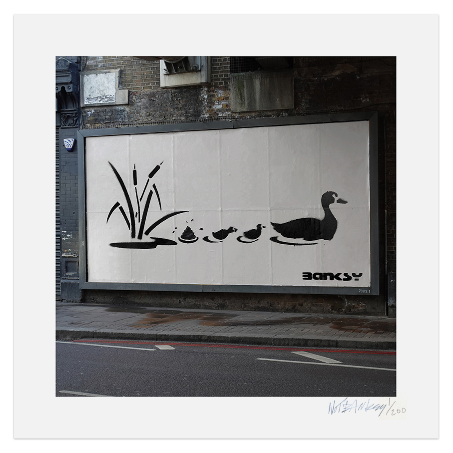 DUCKS intsa