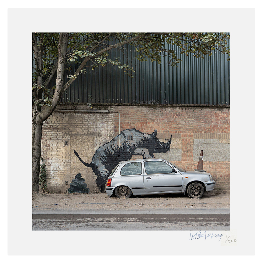 image10 RHINO 2