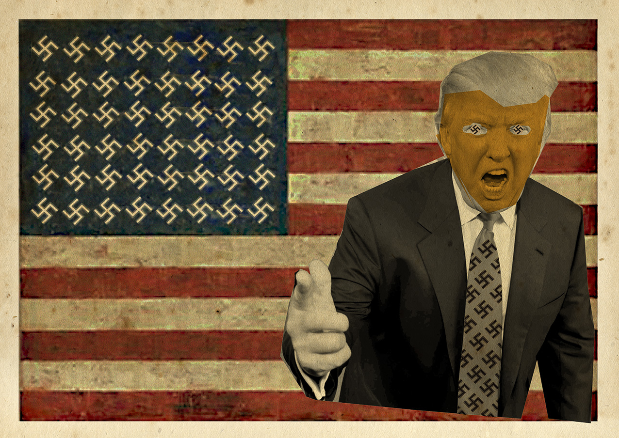 swastika and stripes cunt elect
