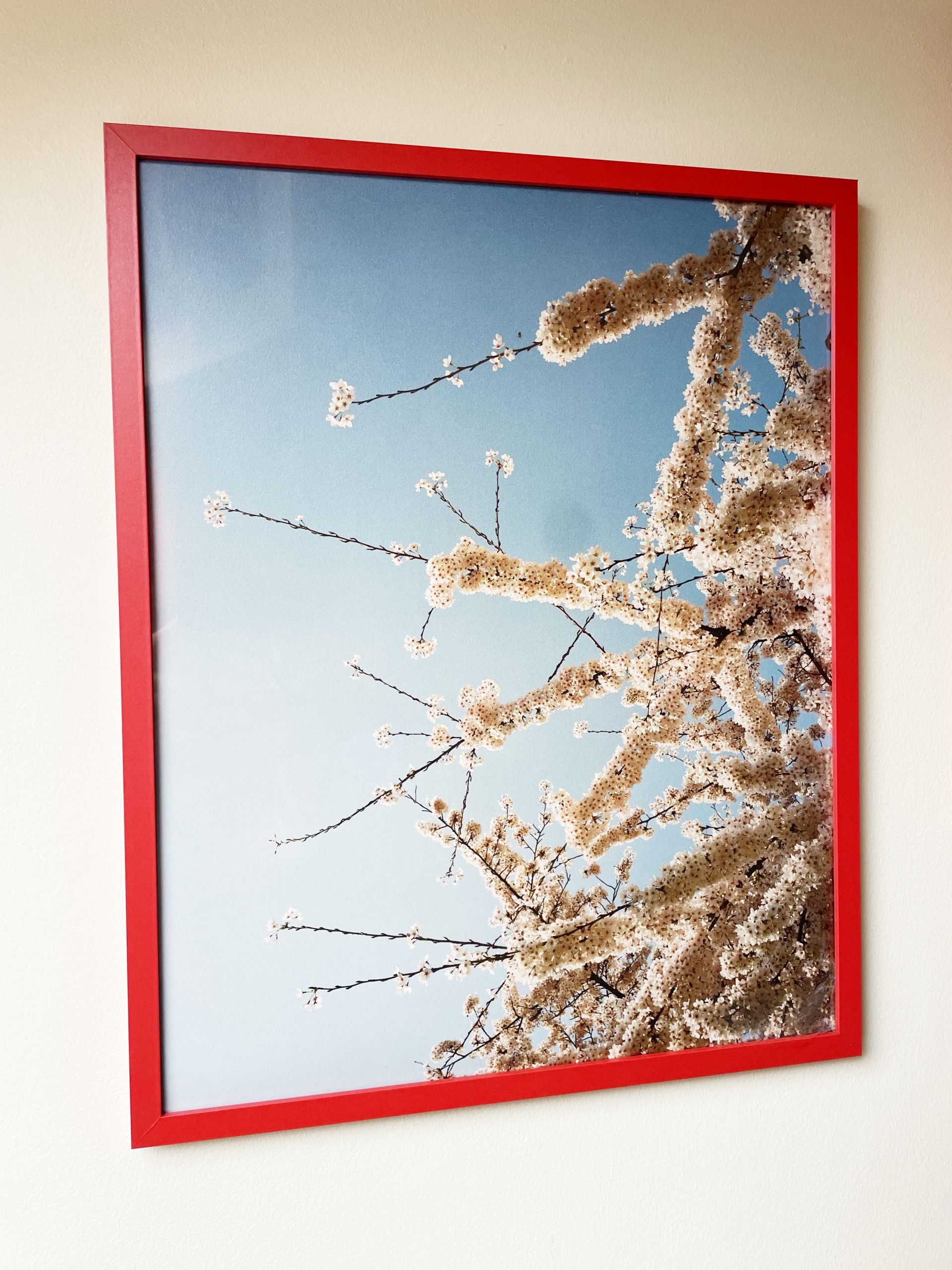 londom sakura in situ 3